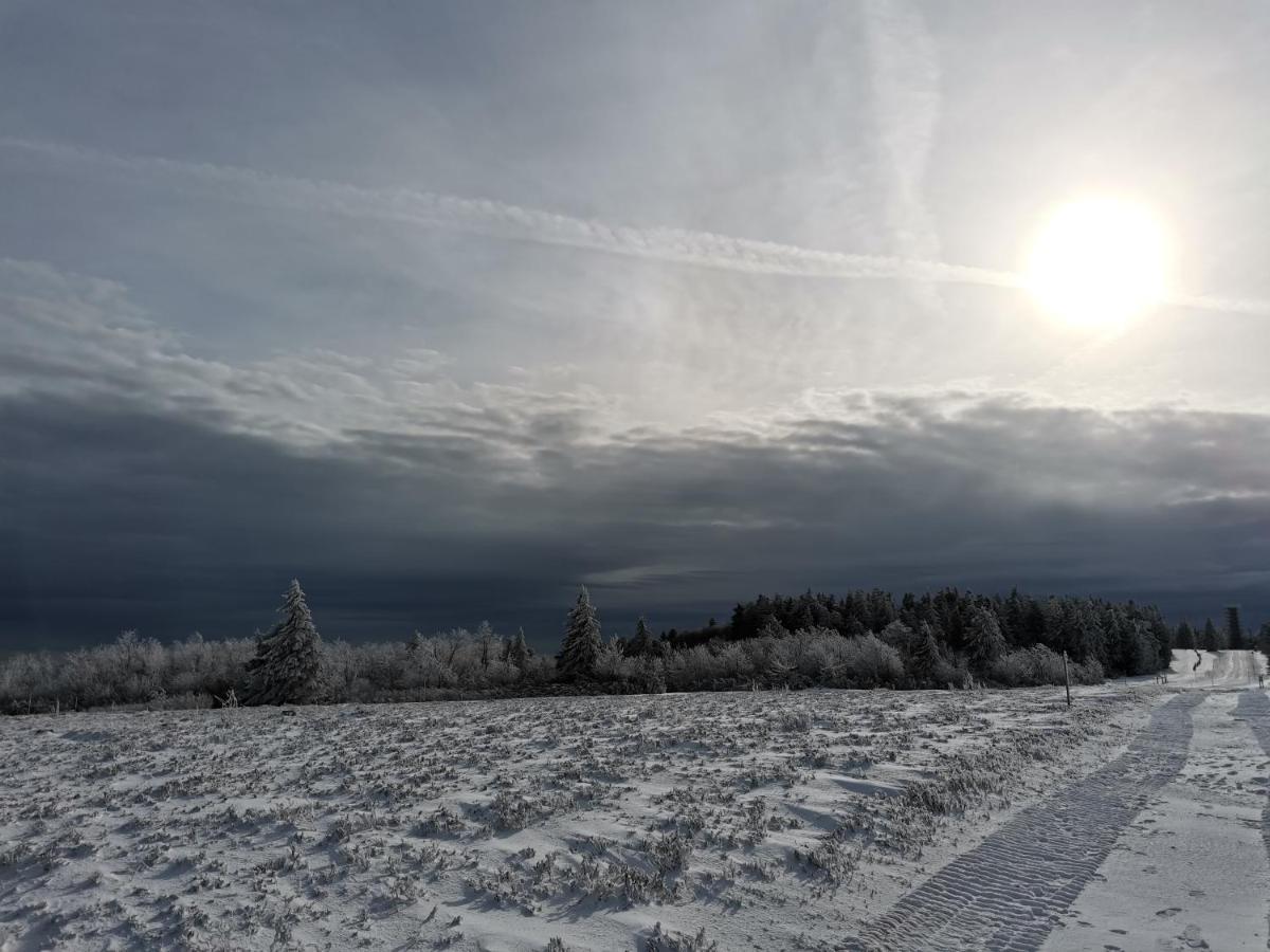 Gite Du Cerf Birkenwald 외부 사진