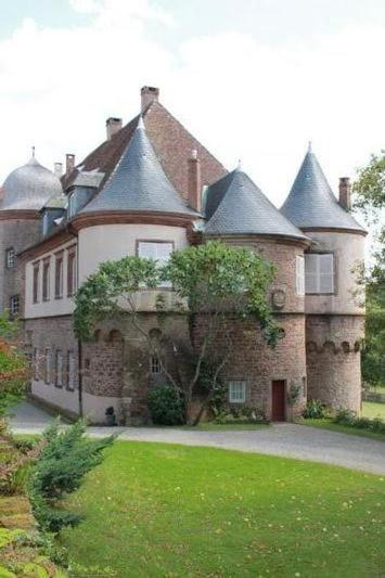 Gite Du Cerf Birkenwald 외부 사진