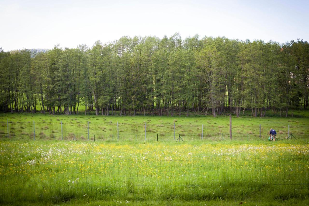Gite Du Cerf Birkenwald 외부 사진