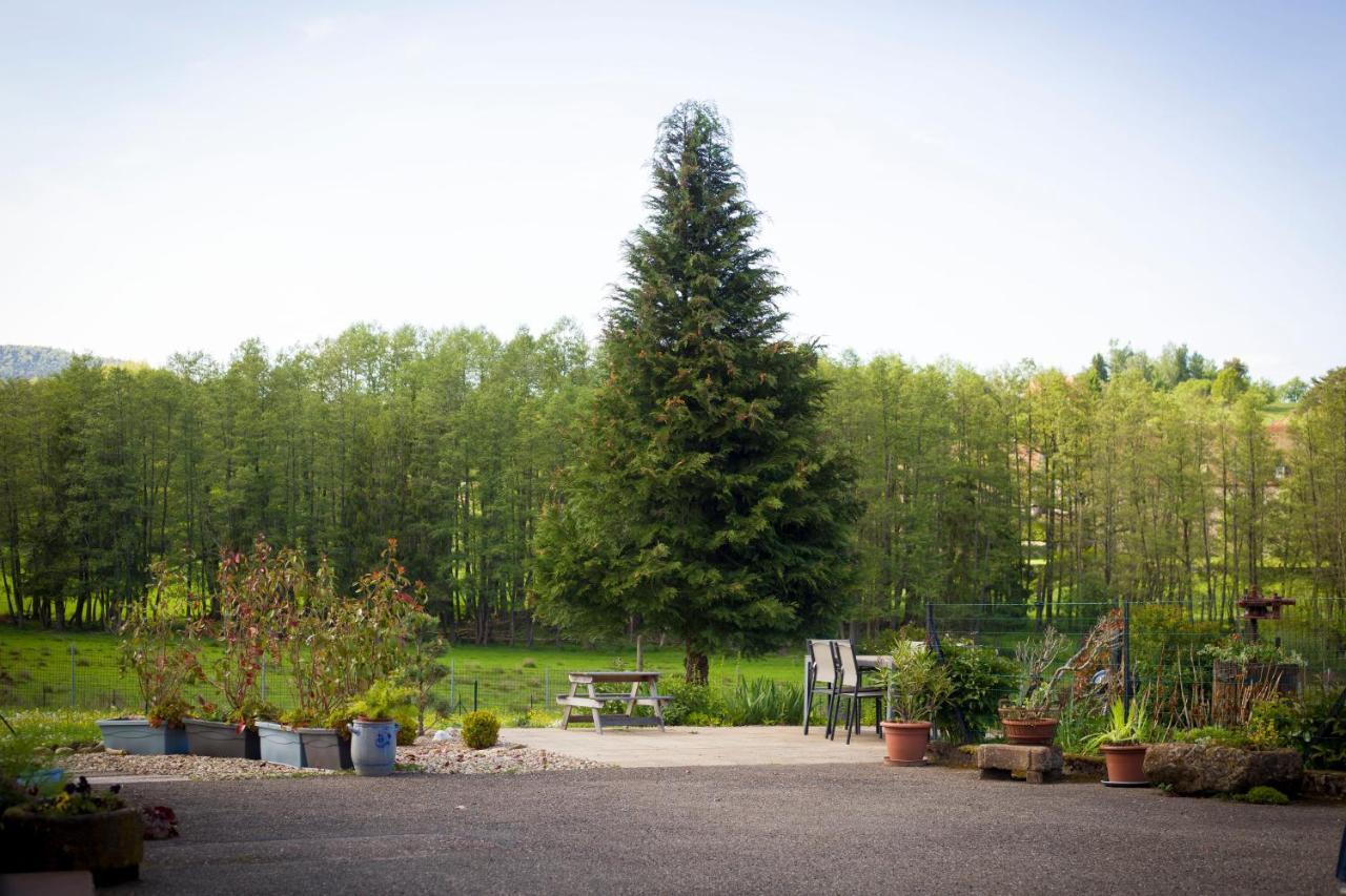Gite Du Cerf Birkenwald 외부 사진